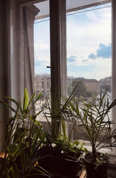 Apartament A Selva Urbana